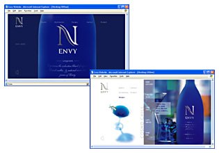 Envy Website