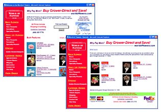 World of Flowers Website